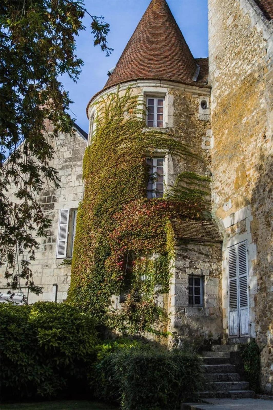 L'eclat Du Colza *